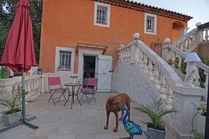 Sejours chez l'habitant Chez Amali - Elegant appartement de vacances en Provence avec terrasse : photos des chambres