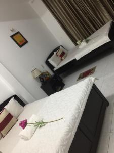 Friendly Hotel