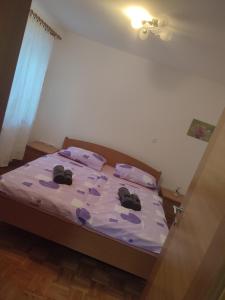 Počitniško stanovanje Aurora