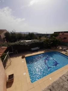 Villas Villa puget sur argens frejus st Raphael : photos des chambres