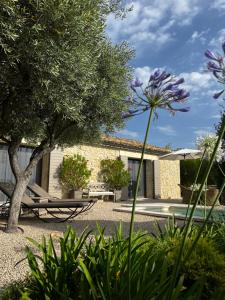 Maisons de vacances Le Mazet d'Emilia avec jardin et piscine prives : photos des chambres