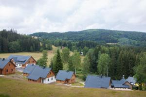 Apartmán Devítka Resort pod Špičákem