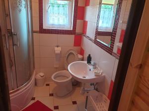 Domek w Bieszczadach u Ani Apartament 3