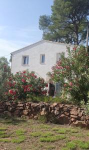 Bastidon du camp de jeanne