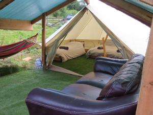 Dingly Dell 3 x bell tents