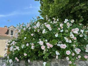 Hotels Hotel & SPA Chateau de La Cote - Brantome : photos des chambres