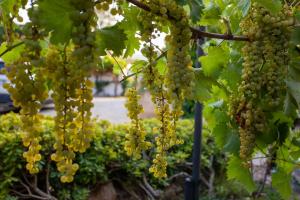 Villa Niloan Olbia img45