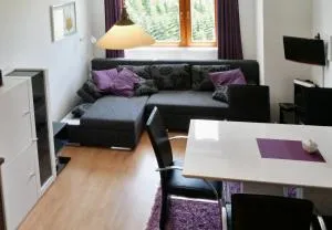 Apartmán U Sjezdovky - 拉莫佐夫