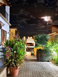 Shardana Blu - Net Zero Home Holiday img55