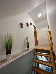 Apartament „Pod Zielonym Dachem”