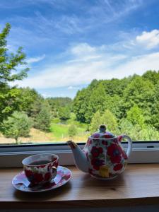 Apartament „Pod Zielonym Dachem”