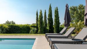 Villa Labin in Zartinj - luxury privacy heated pool with auto cover