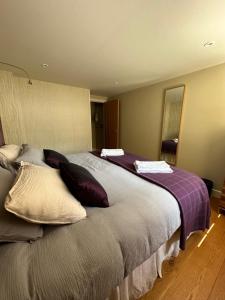 Appartements Chalet Violettes : photos des chambres