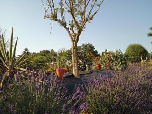 Maisons de vacances les figuiers et les rosiers proche puy du fou : photos des chambres