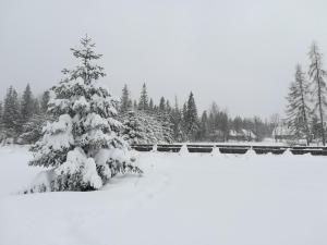 Apartament Nad Stawem