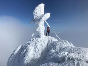 Neues Luxus APARTMENT DACHSTEIN - Ramsau am Dachstein - Schladming Dachstein