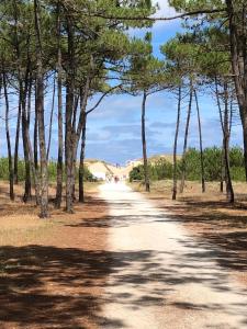 Maisons de vacances Almigeda : photos des chambres