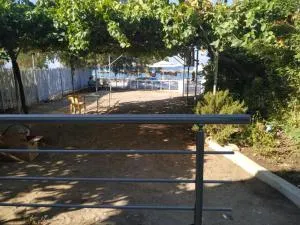 South Wave Studio - 科基诺斯皮格斯