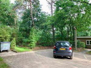 Sluwe Vos: ontspannen in het bos!