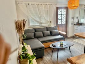 Appartements le petit prince , jolie maisonnette terrasse Netflix parking prive jeux de societe : photos des chambres