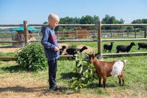 Wellness zoo apartmány Lhota