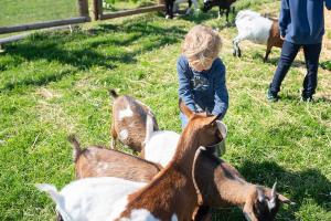 Wellness zoo apartmány Lhota