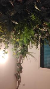 Jungle Room Jacuzzi Privé Évasion en amoureux