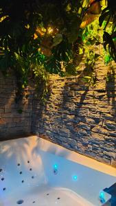 Jungle Room Jacuzzi Privé Évasion en amoureux