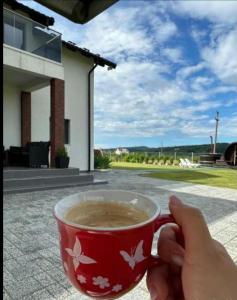 Casa Ambientt