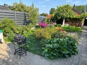 Apartamentai su pirtimi