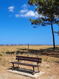 Mini villa jardin 50 m plage