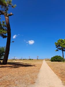 Mini villa jardin 50 m plage