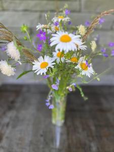 Apartmány na Táloch 107 & 108 Chopok - Juh