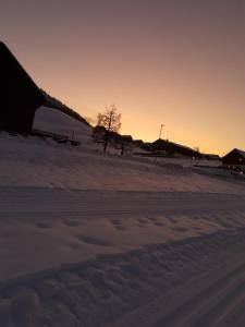 BergNest Großwalsertal
