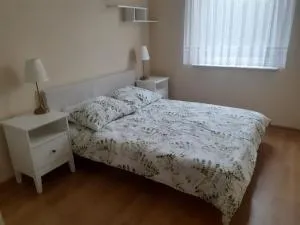 Słoneczny apartament z małym ogródkiem - 威赫罗伏
