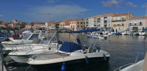 Appartements La petite OLLY : Studio