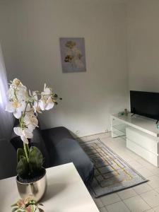 Appartement cosy 15 min dOrly