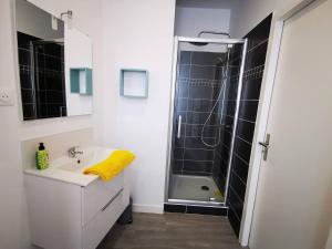 Appartements EL NIDO by LimogesBNB : photos des chambres