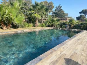 Appartement de standing avec piscine et plage à pieds