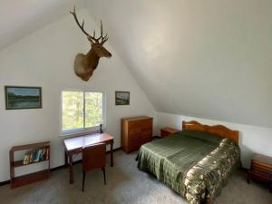 Your own Base Camp for your mountain adventures