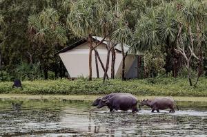 Mary River Floodplain, Kakadu, Northern Territory, Australia.