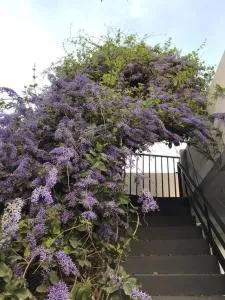 Casa Smith - Los Puentes