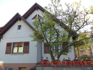 Appartements GITE SPACIEUX AU COEUR DE L'ALSACE 3*** : photos des chambres