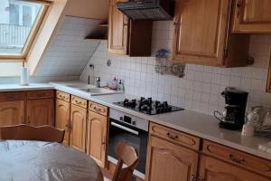 Appartements GITE SPACIEUX AU COEUR DE L'ALSACE 3*** : photos des chambres