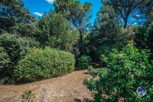 Villas Belle Villa avec Superbe vue, Piscine et Jacuzzi : photos des chambres