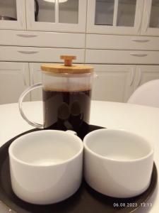 Luxury apartment 50m from the beach!