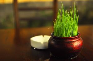 Pandanaran Prawirotaman Yogyakarta