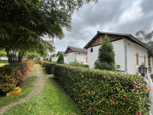 Manas Jungle Retreat