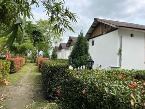 Manas Jungle Retreat