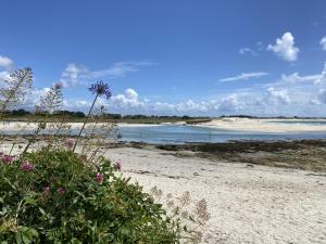 Appartements Villa Ster et Mer : photos des chambres